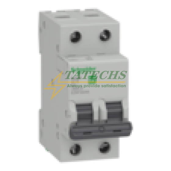 Cầu dao tự động Easy9 2P 50A EZ9F34250 Schneider